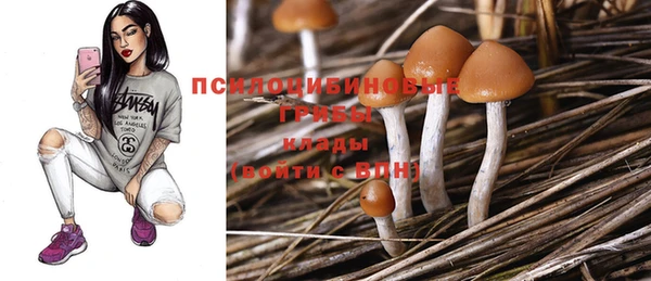 трава Козловка