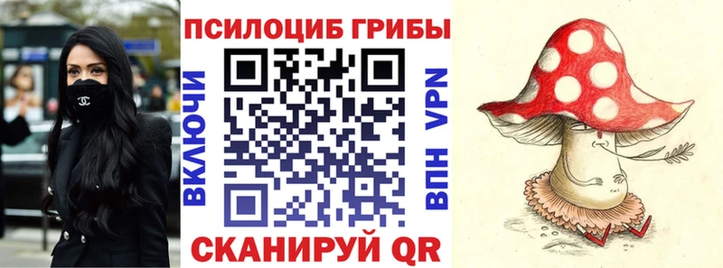 Купить закладки  Заволжье  Галлюциногенные грибы мицелий 